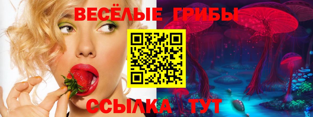 Псилоцибиновые грибы прущие грибы  как найти наркотики  Клинцы  Вход с VPN 