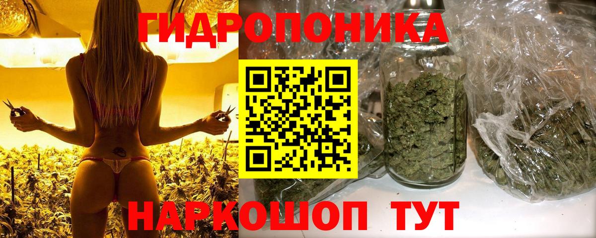 Клинцы  Канабис White Widow  Вход с VPN  Бошки Шишки гибрид 